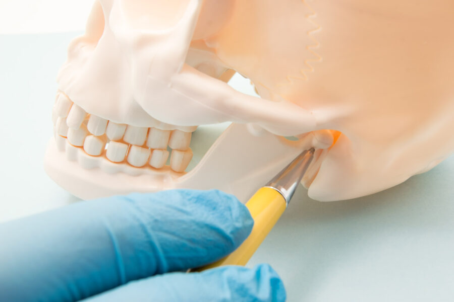 A blue gloved hand uses yellow pen to point to the TMJ on the side of a skull